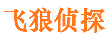 安平婚外情调查取证